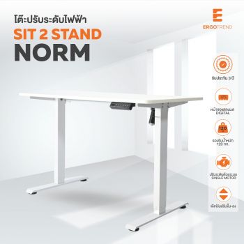 Ergotrend โต๊ะไฟฟ้า ยืน-นั่งทำงาน รุ่น Sit 2 Stand Norm
